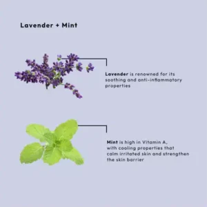 BCL SPA MOISTURE MASK LAVENDER + MINT 1892ML - Afbeelding 4