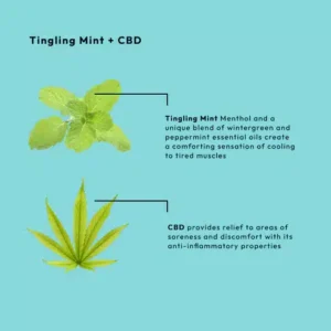 BCL SPA MOISTURE MASK TINGLING MINT + CBD 1892ML - Afbeelding 4